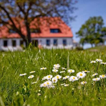Gutshaus Ketelshagen Hotel Putbus Eksteriør billede