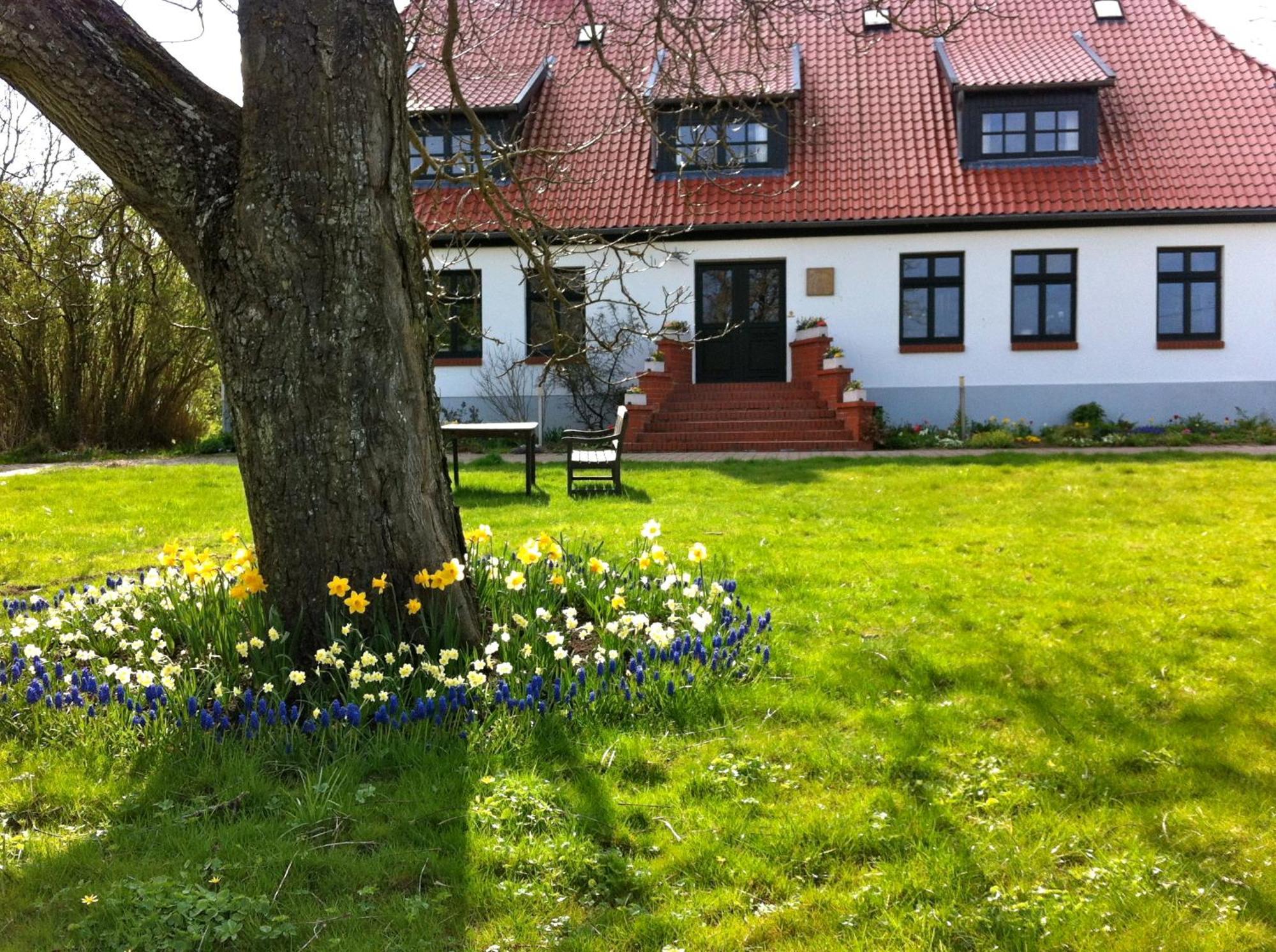 Gutshaus Ketelshagen Hotel Putbus Eksteriør billede