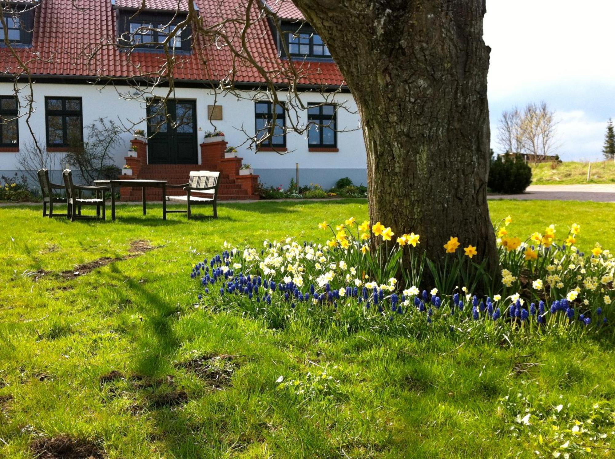 Gutshaus Ketelshagen Hotel Putbus Eksteriør billede